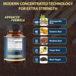 Ashwagandha Extract Capsule - Great Strength - 5in1 Blended Ginger, Turmeric, Rhodiola Rosea & Black Pepper - 90 Capsules for 3 Months - Strength, Spirit & Immune Support - Image 3