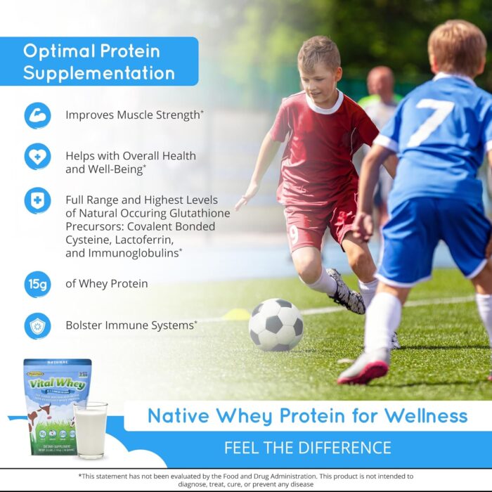 Grass-Fed Whey Protein Powder for Immune Vitality, Natural Vanilla 2.5lbs (56 Servings), 15g Protein Per Serve, Vital Whey, Clean Holistic, Wellness Nutrition - Image 4