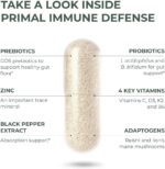 Primal Harvest Primal Immune Defense 10-in-1 Immune Defense Supplement: with 7 Billion CFU Probiotics, Zinc, Vitamins C, B6, D3, K2 - Immune Boosters for Adults 60 Capsules (2 Pack) - Image 5