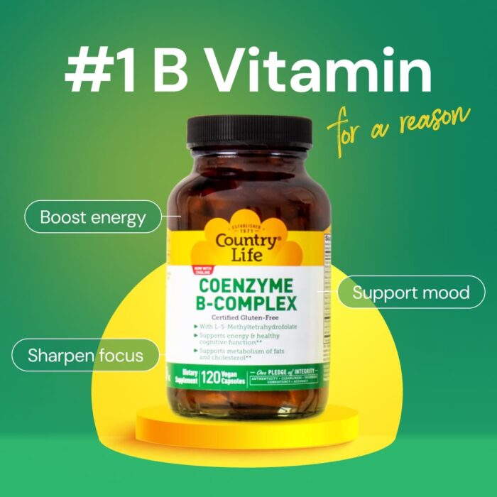 Country Life Coenzyme B-Complex, 120 Capsules – Supports Energy & Metabolism, Mood & Cognitive Function – Vegan, Gluten-Free, Bioavailable B Vitamins with Choline - Image 3