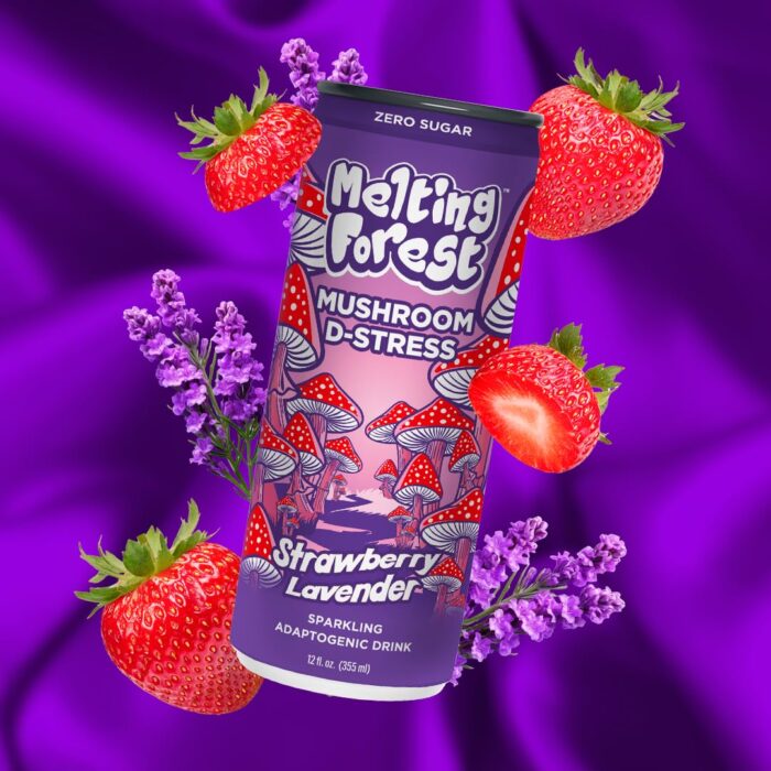 Melting Forest Mushroom D-Stress Drink - Reishi & Lion's Mane - Stress Relieving & Focus - Cognitive Function & Mental Clarity - 12 Pack - Strawberry Lavender - Image 2